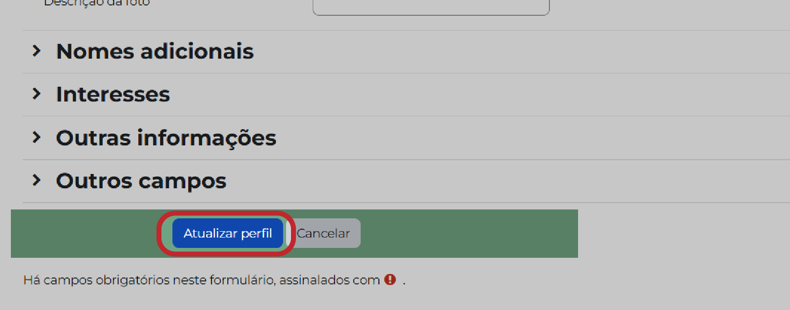 Botão Atualizar perfil ao final da página
