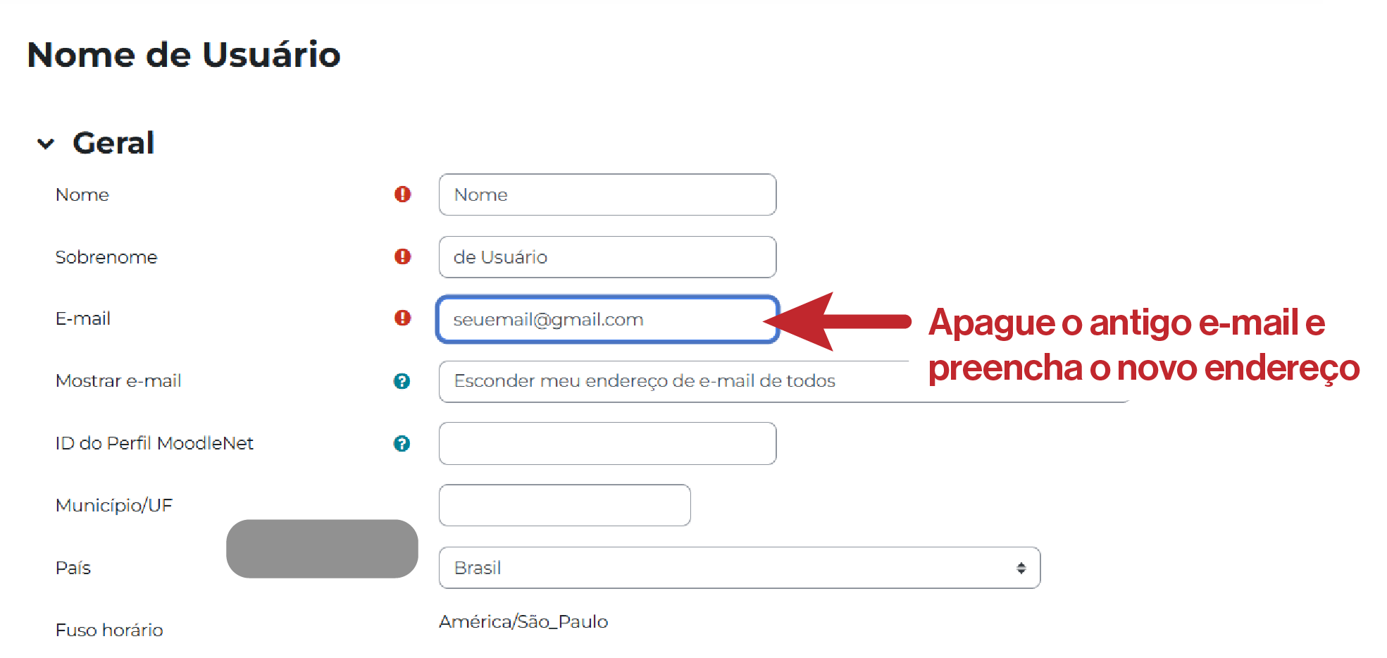 Campo de e-mail no perfil para alteração do endereço cadastrado